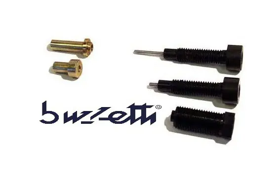 Kit de 5 Embout de rechange pour dérive chaine de distri Buzzetti Offre Du Jour