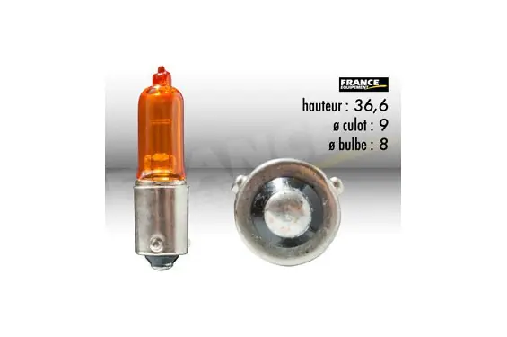 Vente Flash Ampoule Temoin / Clignotant BAY9S 12V-21W FLOSSER pour Moto-Quad-Scooter