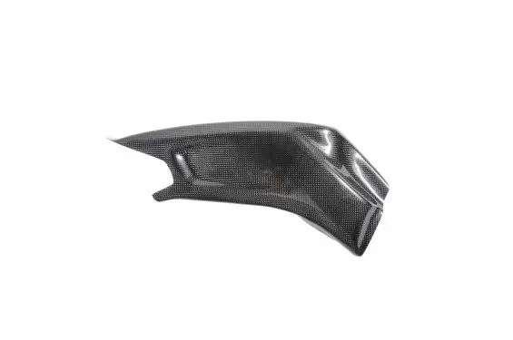 Achat Immédiat Protection de bras oscillant carbone LighTech pour S 1000 R (14-20)