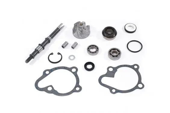 Vente Directe Kit réparation de pompe à eau pour 125 Grand Dink (01-04)