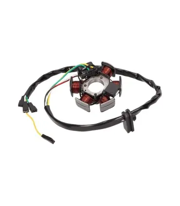 Achat Immédiat Alternateur Stator D‘allumage - 28015