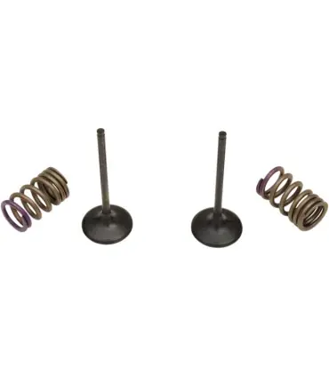 Achat Immédiat KIT DE RESSORT DE SOUPAPE KX250F